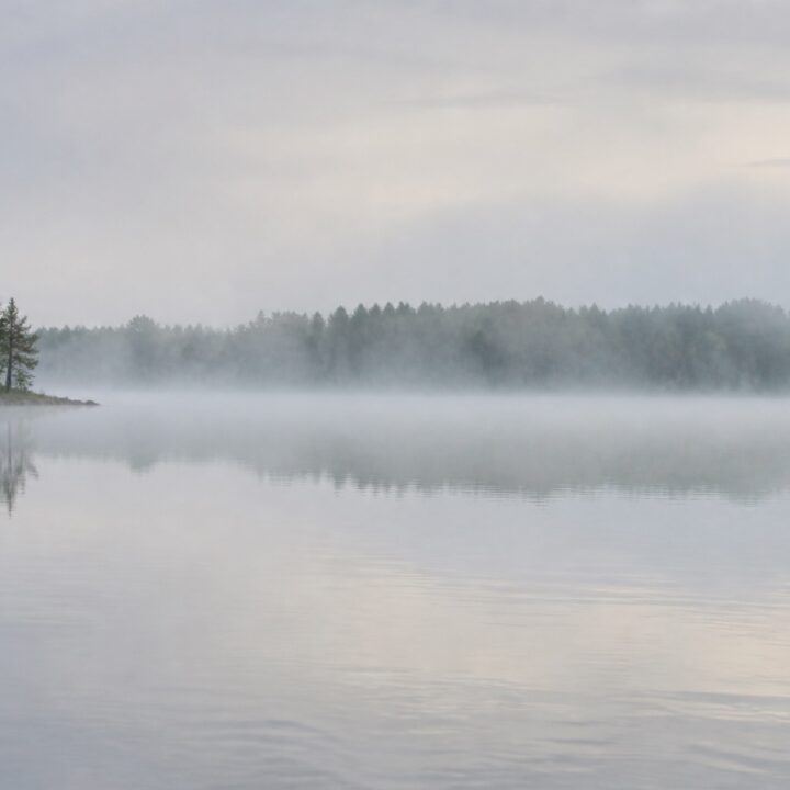 Usvainen jarvi canvas-taulu