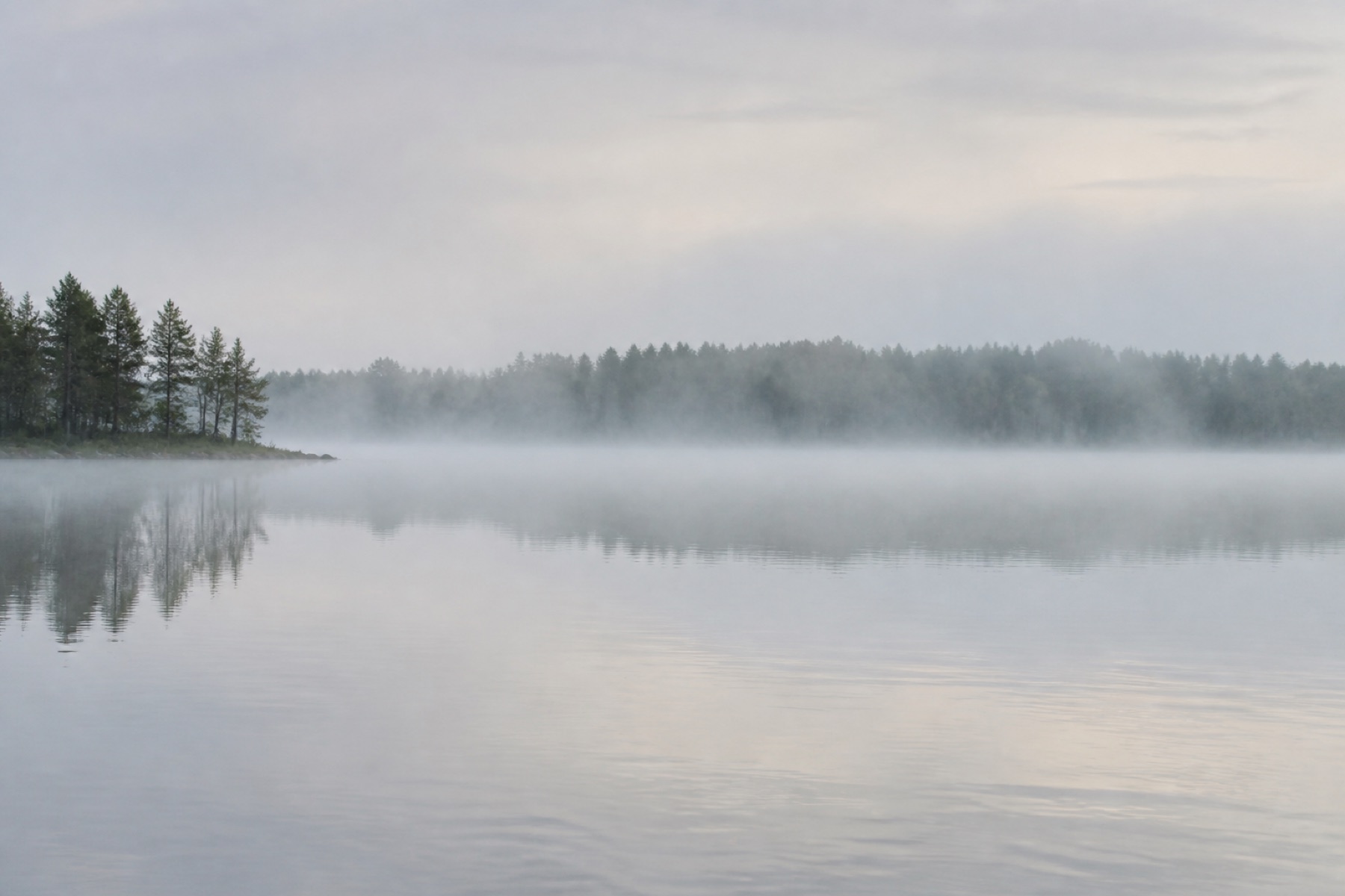 Usvainen jarvi canvas-taulu