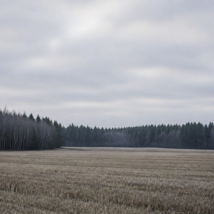 Hiljainen pelto canvas-taulu