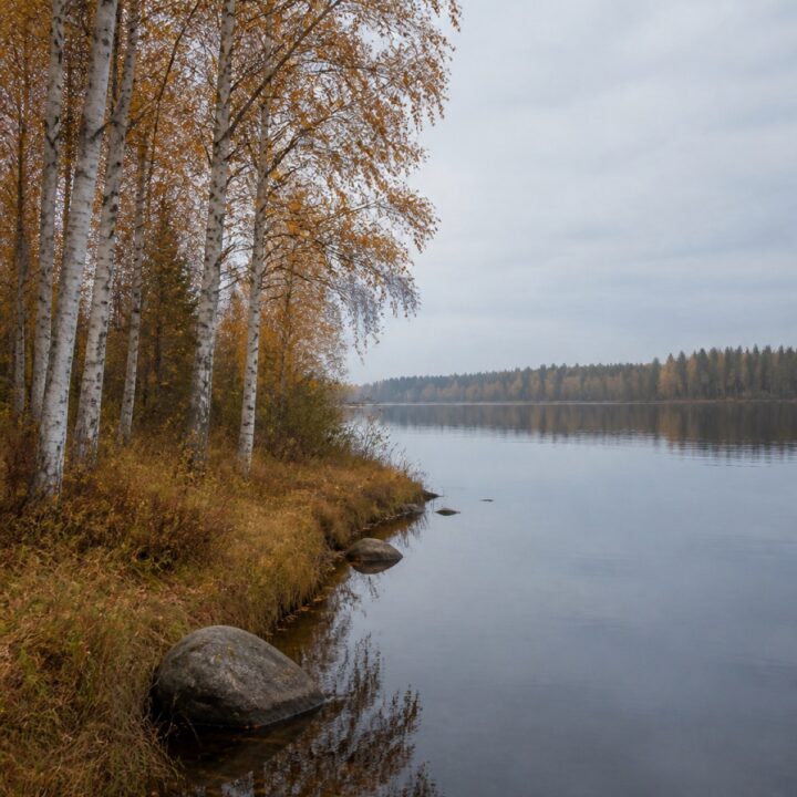 Ruskan ranta canvas-taulu