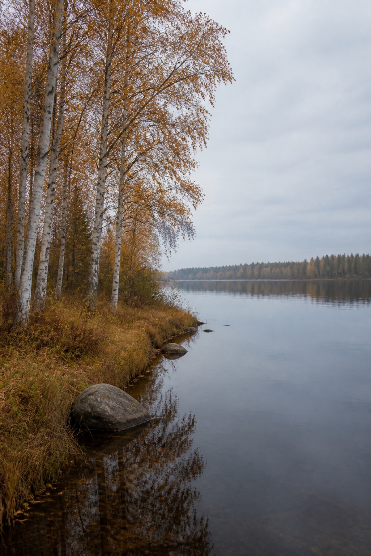 Ruskan ranta canvas-taulu