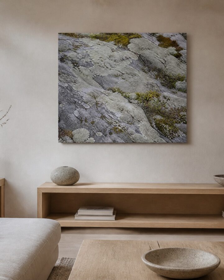 Jakalakallio canvas-taulu