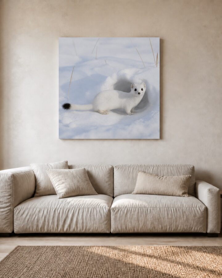 Karppa canvas-taulu