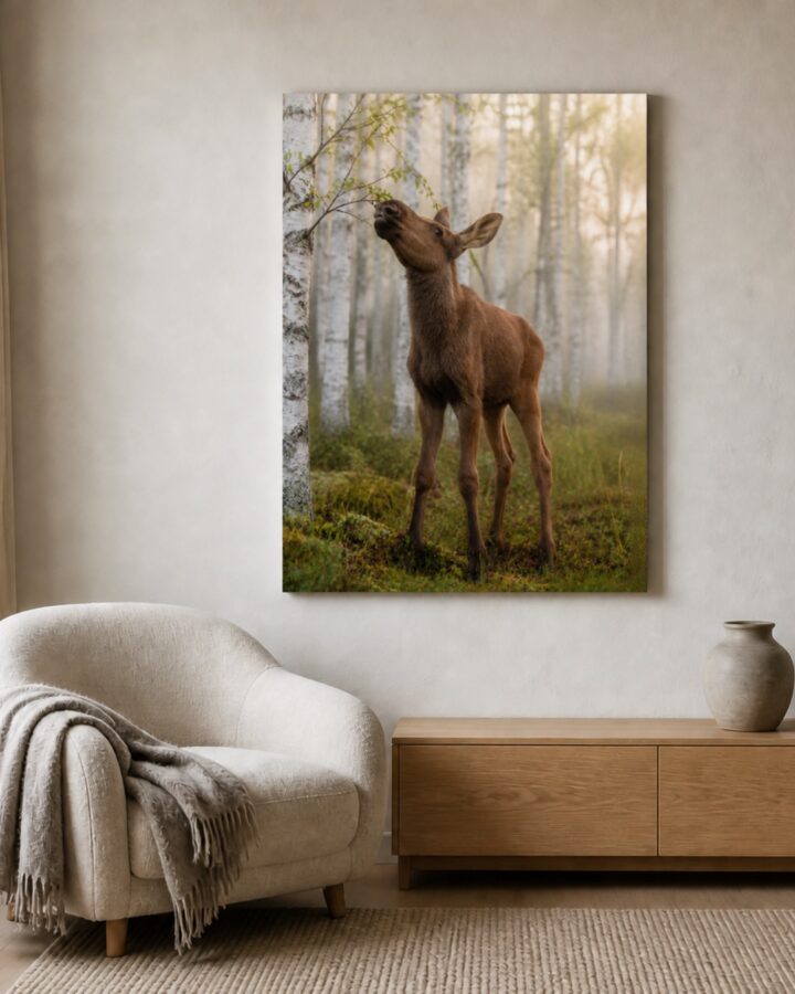 Hirvenvasa canvas-taulu