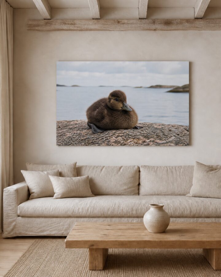 Haahkanpoikanen canvas-taulu