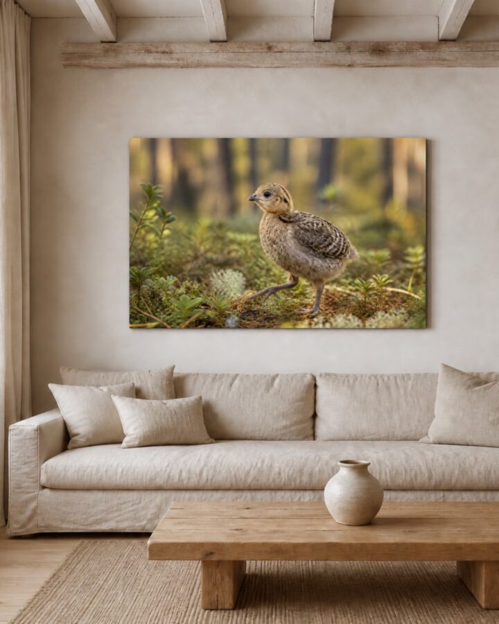Metsonpoikanen canvas-taulu