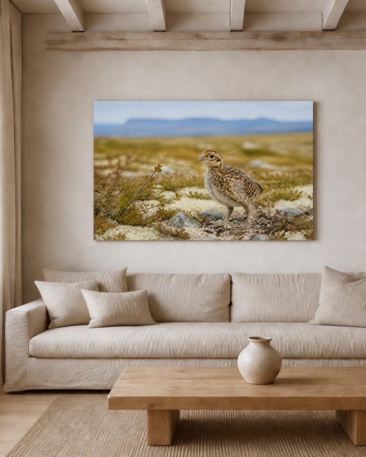 Riekonpoikanen canvas-taulu