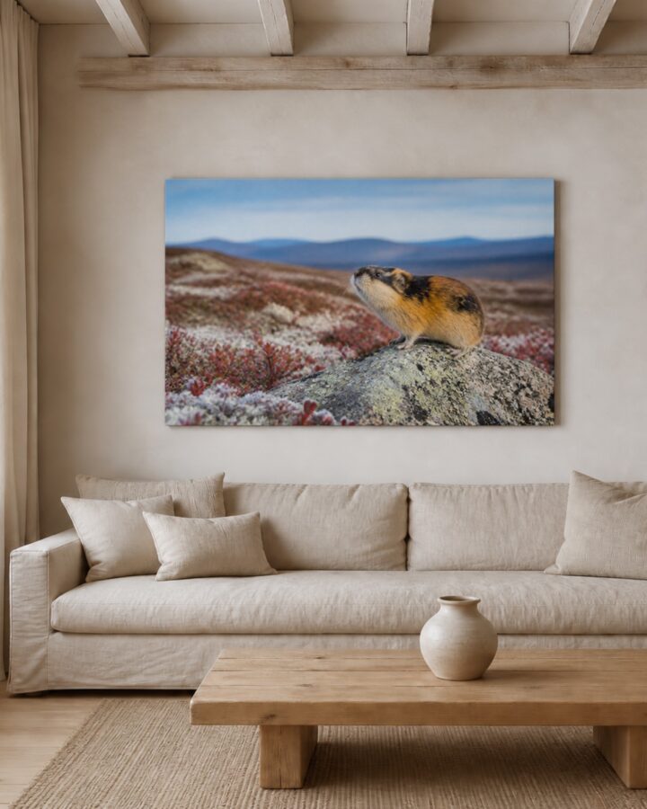 Tunturisopuli canvas-taulu
