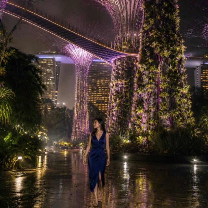 Singaporen sadepuutarha canvas-taulu